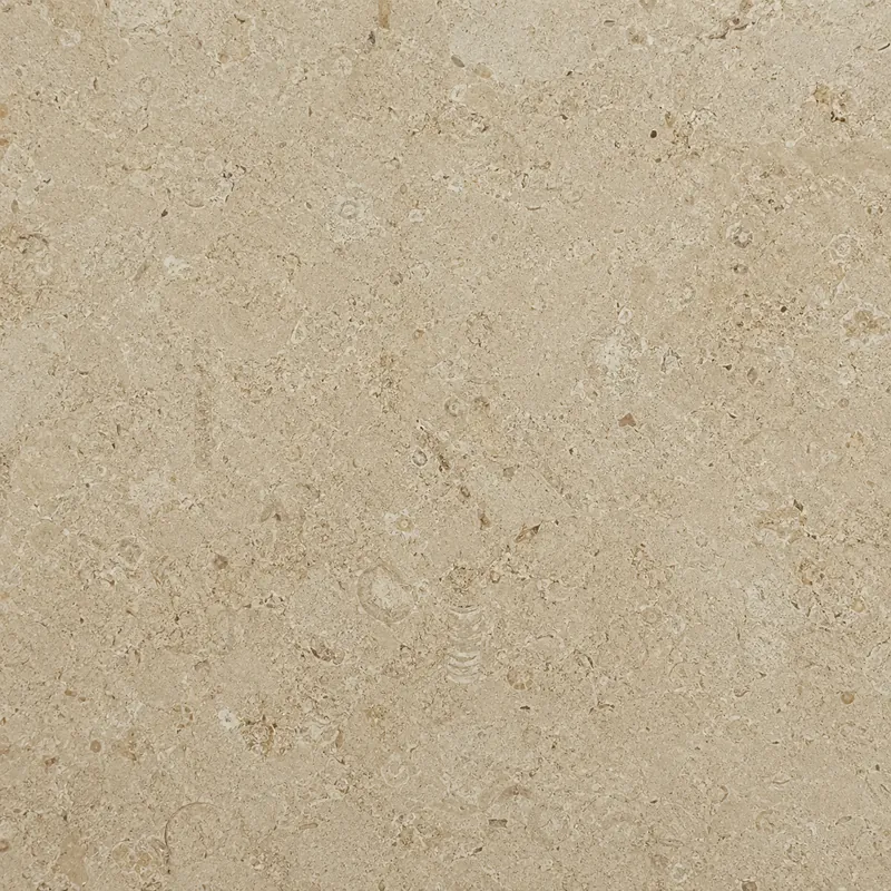 石灰岩（Limestone）の表面のクローズアップ