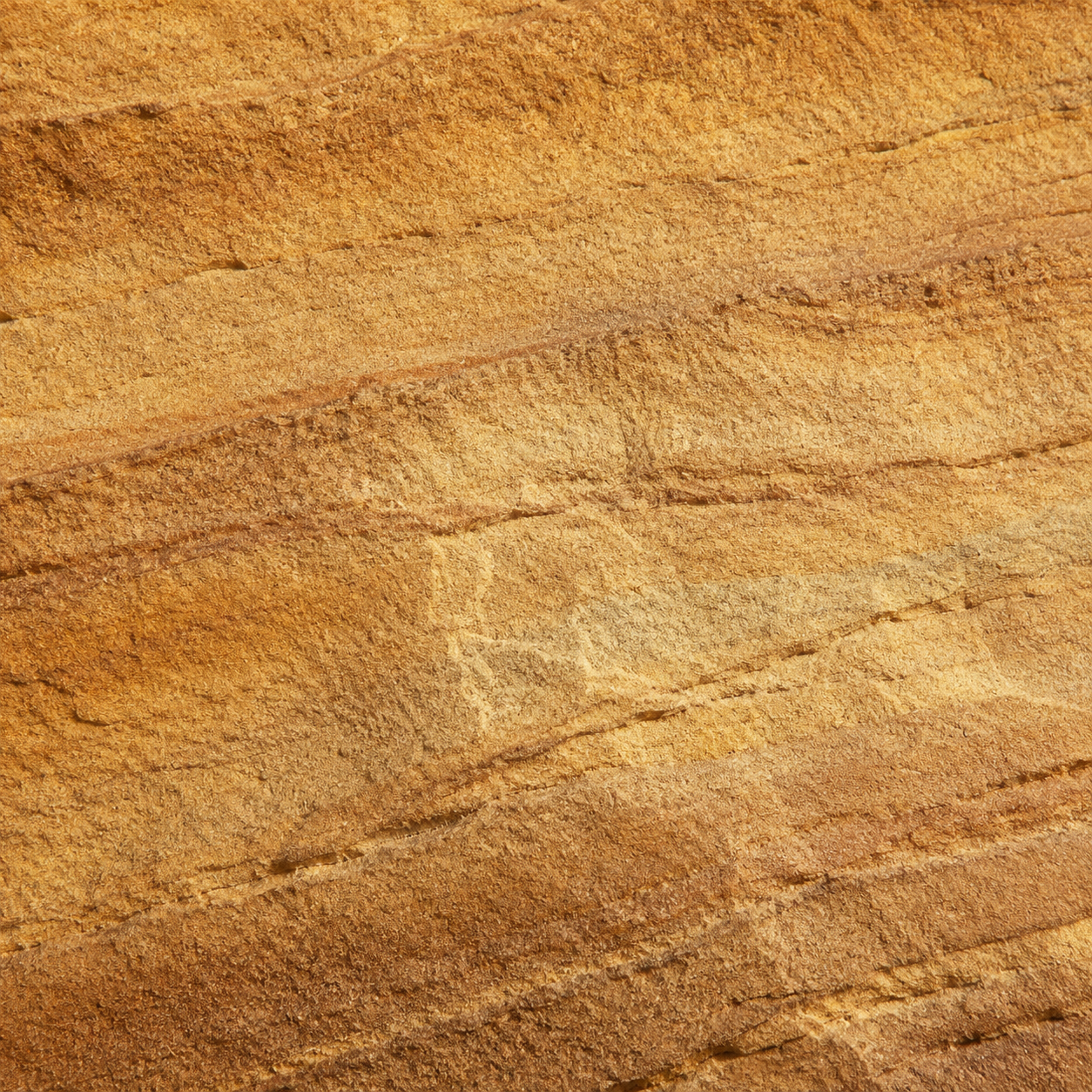 砂岩（Sandstone）の表面のクローズアップ